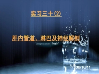 肝内管道、淋巴及神经解剖课件(自己做的)