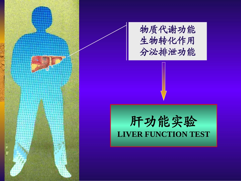 肝功能(08)_第1页