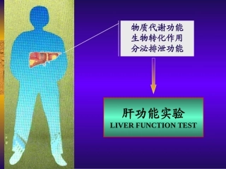 肝功能(08)