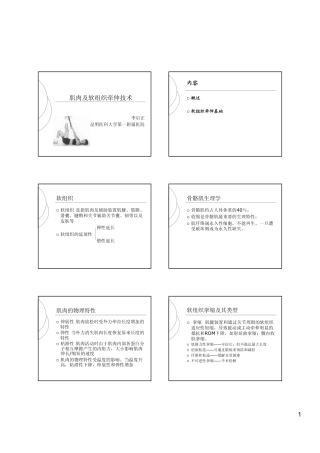 肌肉牵伸-liqizheng