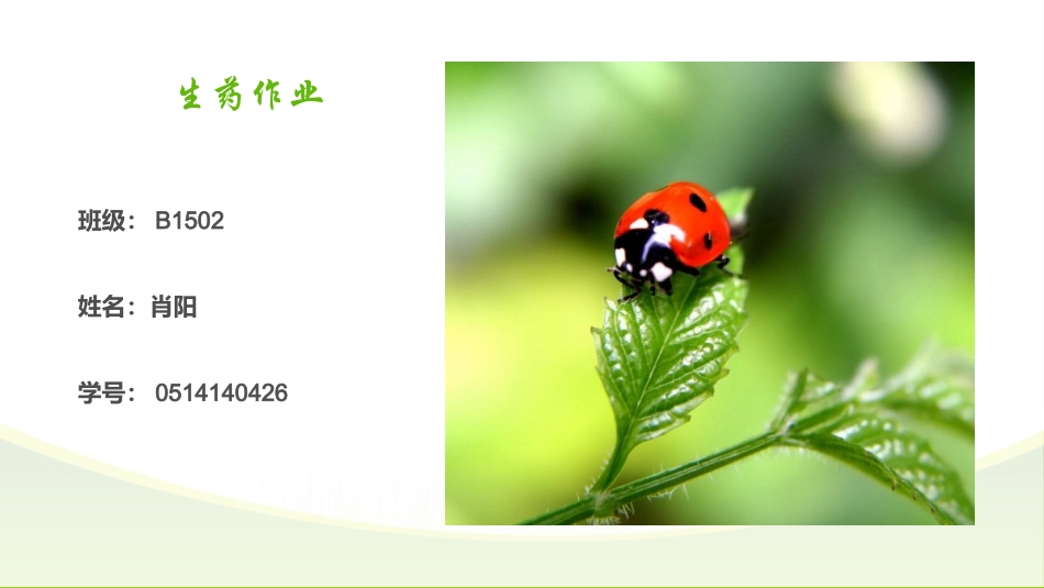 肖阳-0514140426蒙药_第1页