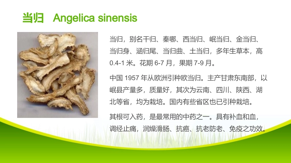 肖阳-0514140426蒙药_第3页