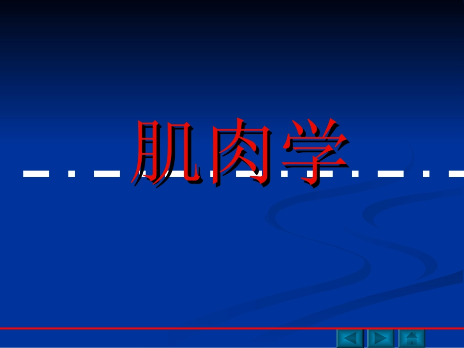 肌肉功能解剖_第1页