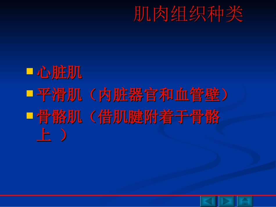 肌肉功能解剖_第3页
