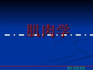 肌肉功能解剖