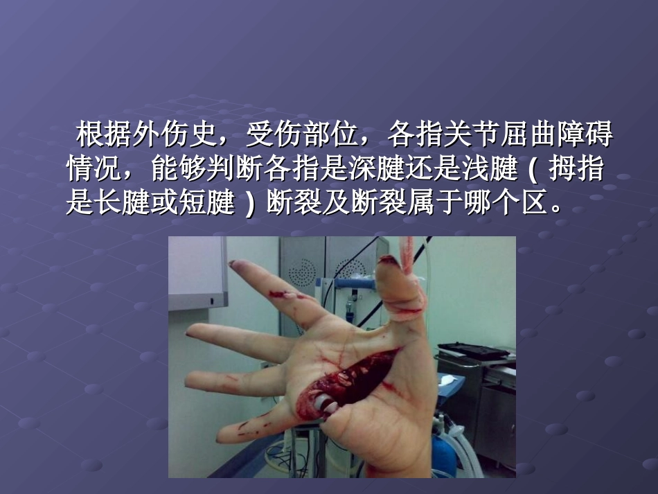 肌腱缝合技术_第3页