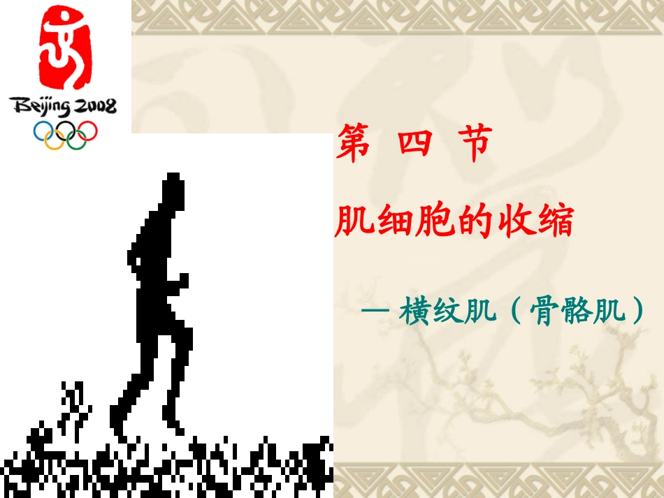 肌肉收缩  生理学课件_第1页