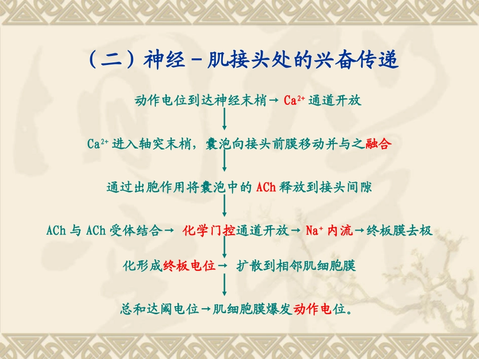 肌肉收缩  生理学课件_第3页