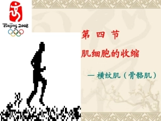 肌肉收缩  生理学课件