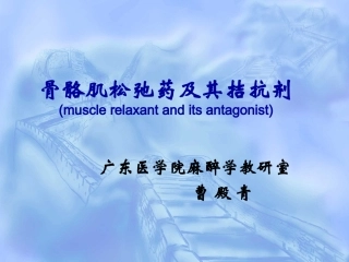 肌松药及拮抗剂