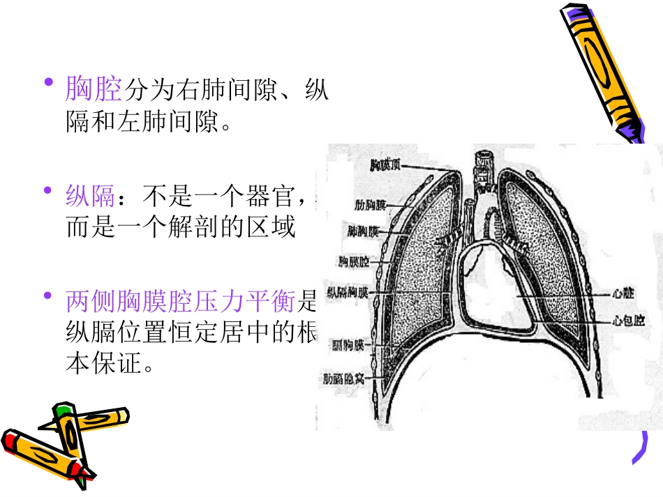 肋骨骨折、气胸、血胸病人的护理_第3页