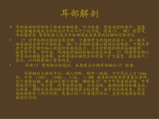 耳部解剖影像解剖