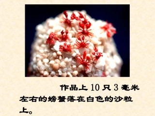 核舟记 (2)