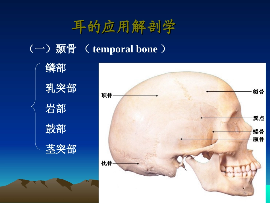 耳的应用解剖学_第2页