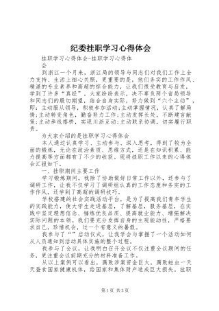 纪委挂职学习心得体会_2