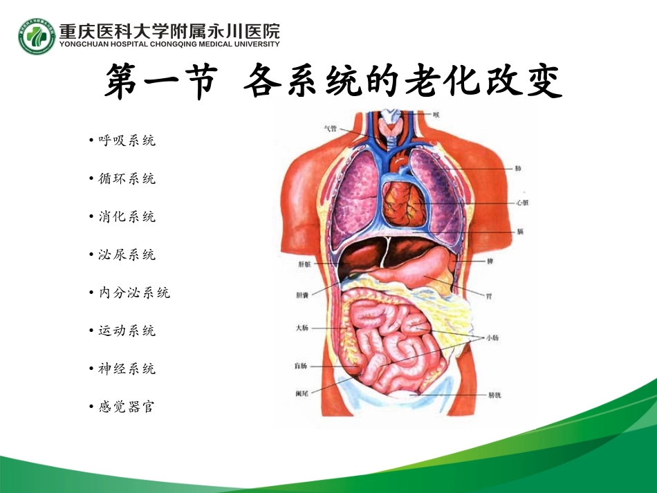 老年人常见健康问题及护理_第3页