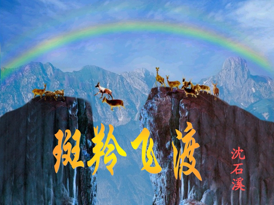 斑羚飞渡课件——闻勤_第1页