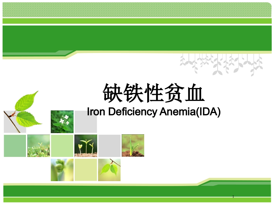 缺铁性贫血课件_第1页