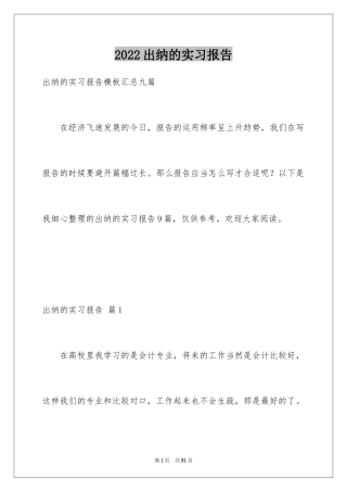 2024出纳的实习报告_30