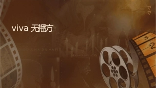 苏宁易购VIVA无线传播方案课件