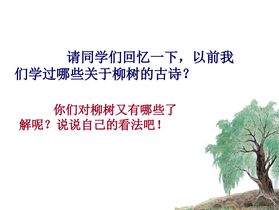 （苏教版）六年级语文上册课件青海高原一株柳1[1]_第1页