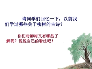 （苏教版）六年级语文上册课件青海高原一株柳1[1]