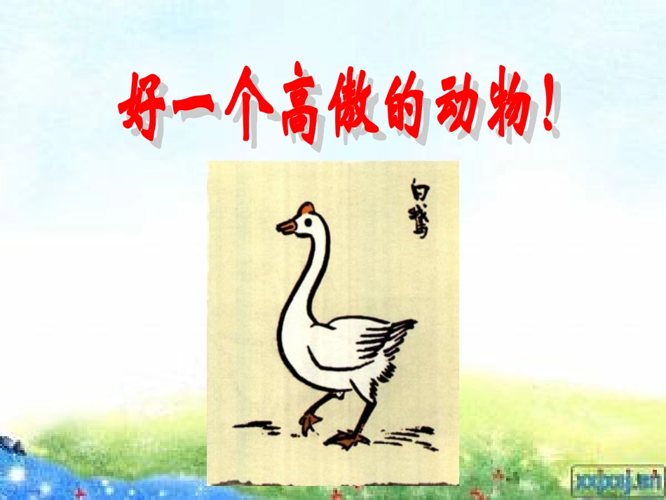 白鹅第二课时_第3页