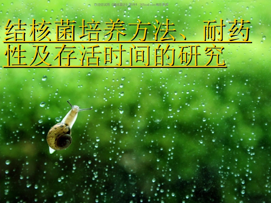 结核菌培养方法、_第2页