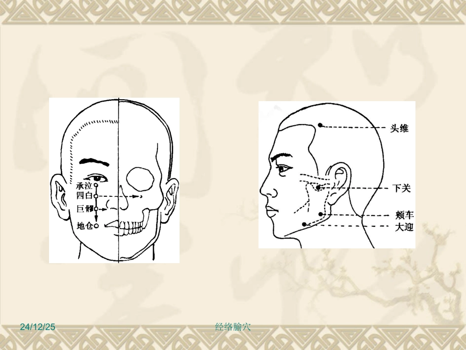 经络腧穴各论--足六经穴_第3页