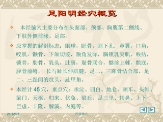 经络腧穴各论--足六经穴