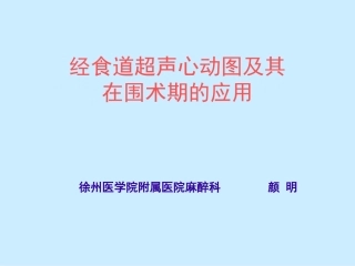 经食道超声心动图2012v