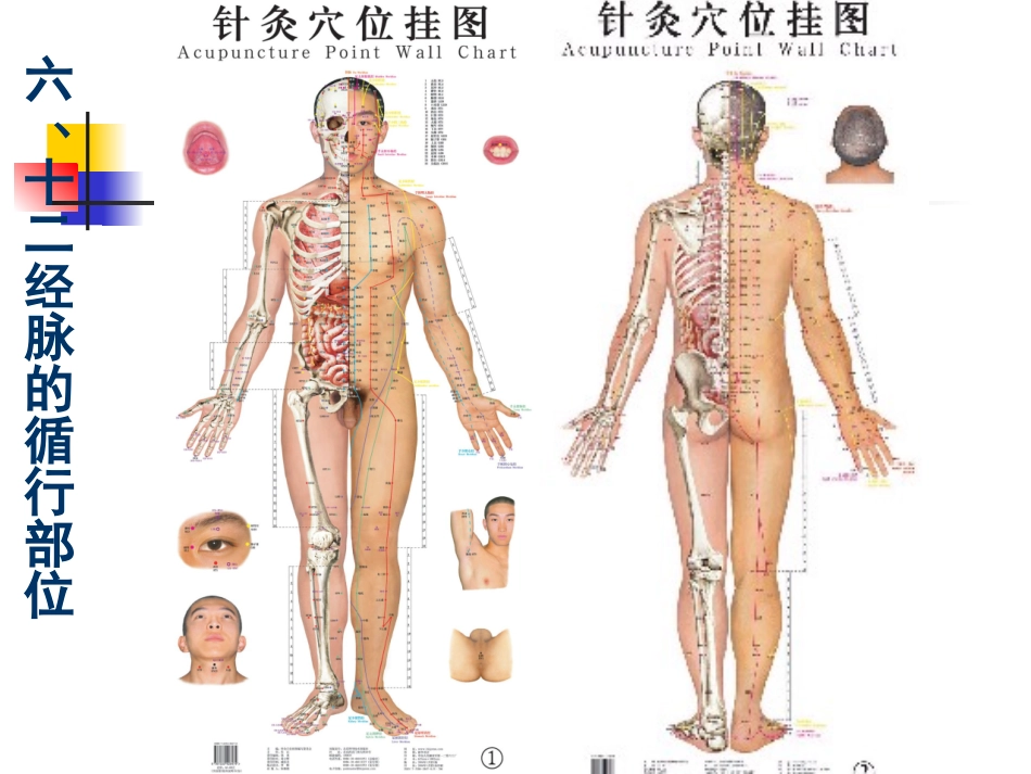 经络学说(中医与养生)_第3页