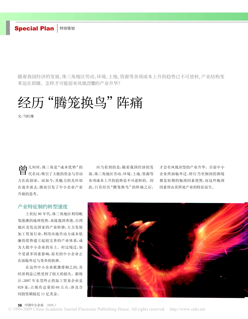 经历_腾笼换鸟_阵痛_第1页