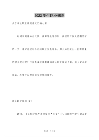 2024学生职业规划_333