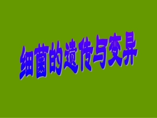 细菌遗传与变异
