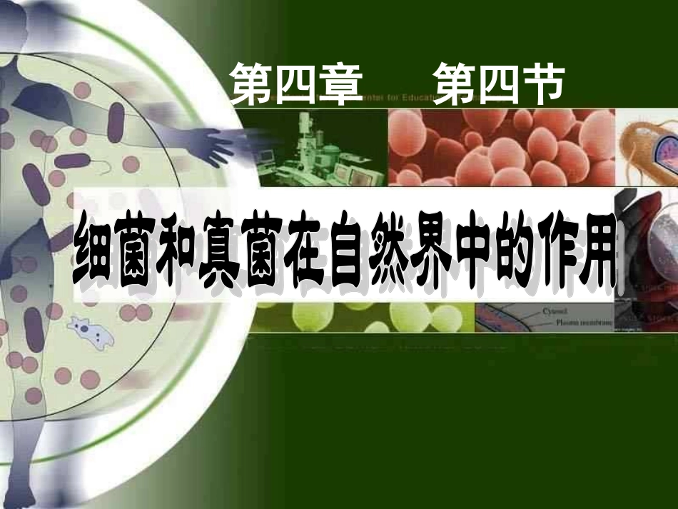 细菌真菌在自然界中的作用_第3页