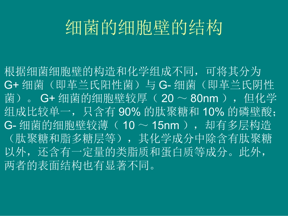 细菌细胞壁的结构和肽聚糖的合成_第3页