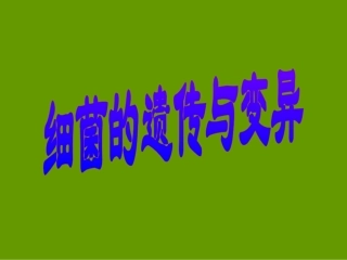 细菌的遗传与变异
