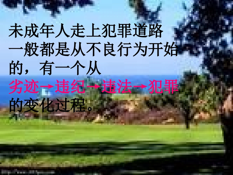 与法同行班会课课件_第3页