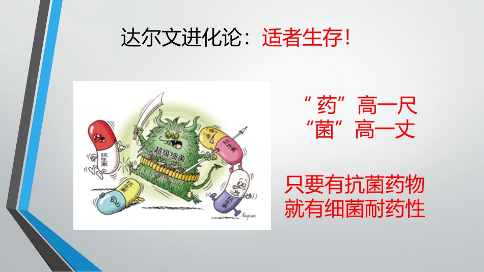 细菌的耐药性与多_第2页