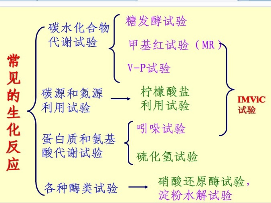 细菌的生化试验2015.._第2页