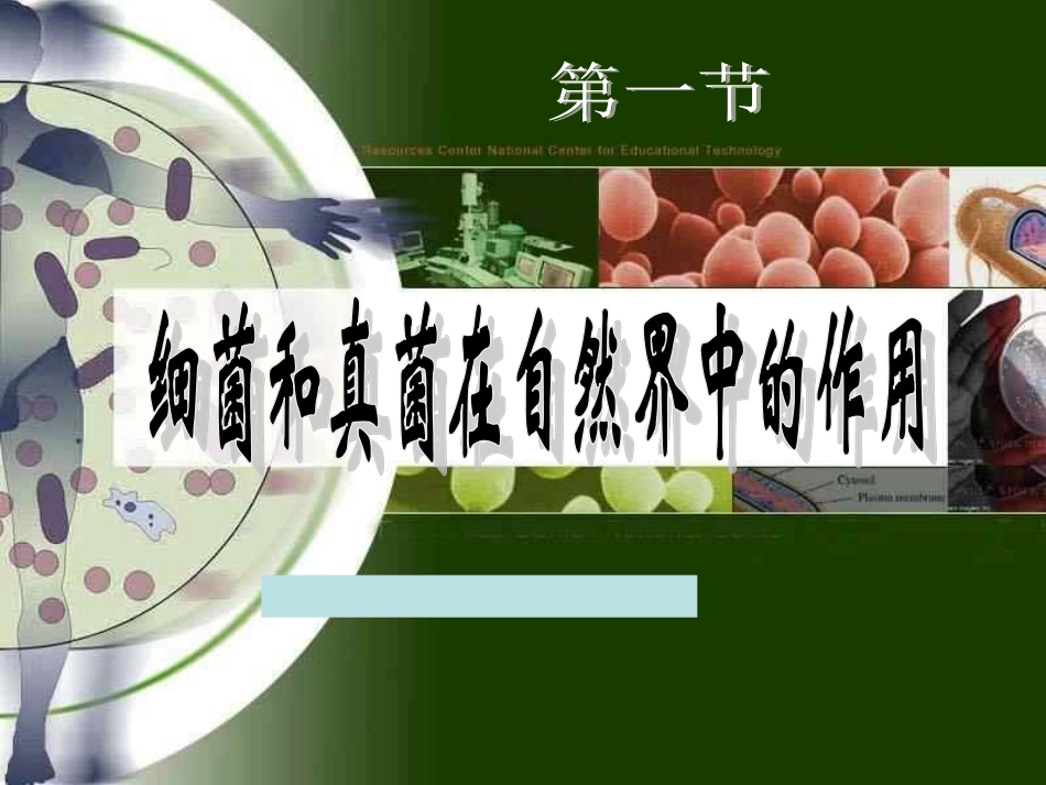 细菌和真菌在自然界的作用._第1页