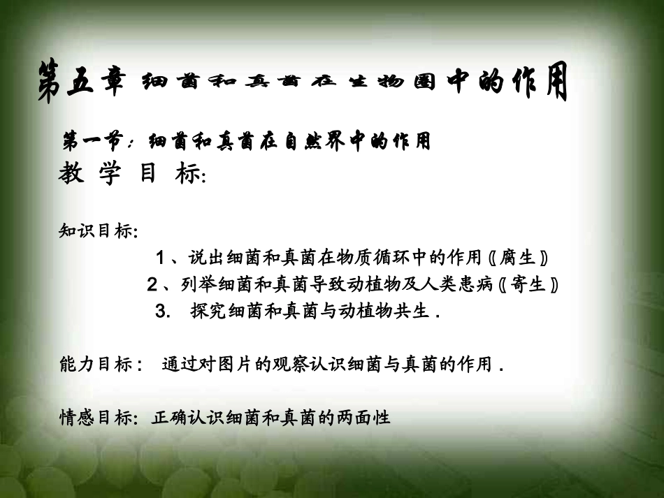 细菌和真菌在自然界的作用._第2页