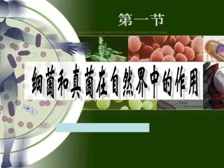 细菌和真菌在自然界的作用.