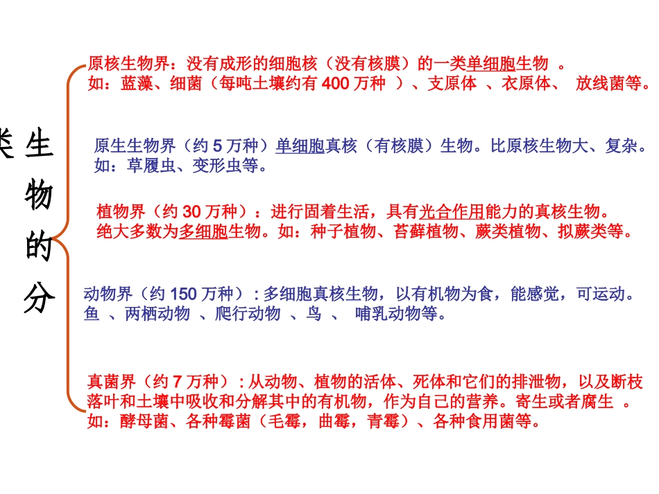 细菌和真菌PPT_第2页