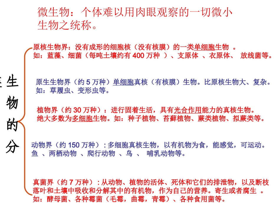 细菌和真菌PPT_第3页