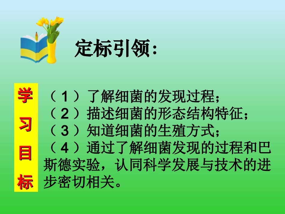 细菌-PPT_第3页