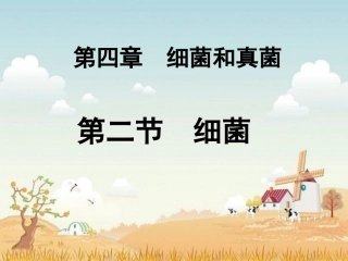 细菌-PPT