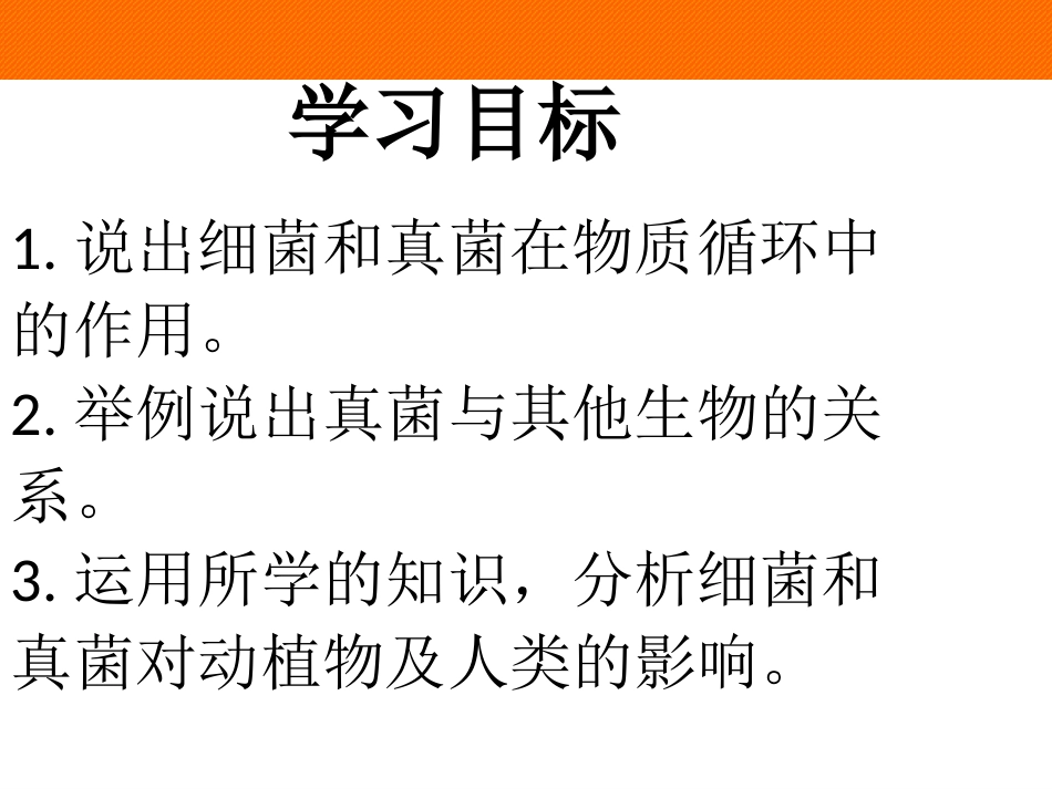细菌和真菌在自然界中的作用-(2)_第3页