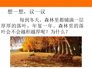 细菌和真菌在自然界中的作用-(2)